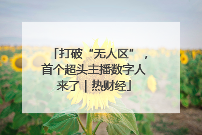 打破“无人区”，首个超头主播数字人来了｜热财经